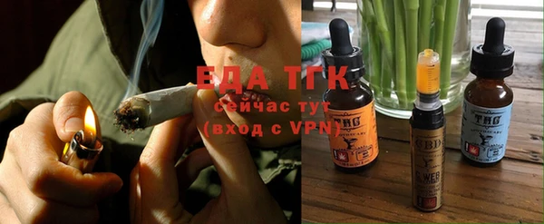 индика Абинск