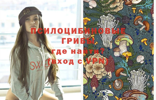 индика Абинск