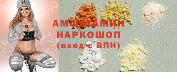 индика Абинск