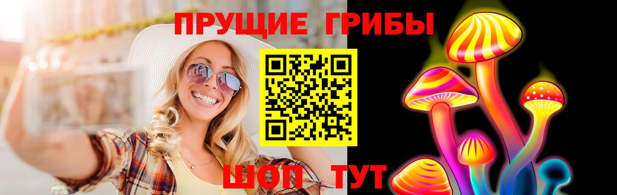 Азнакаево  Псилоцибиновые грибы Psilocybe  Вход с VPN 